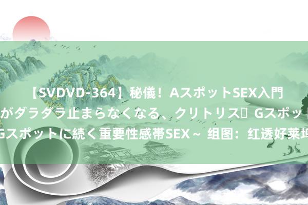 【SVDVD-364】秘儀！AスポットSEX入門 ～刺激した瞬間から愛液がダラダラ止まらなくなる、クリトリス・Gスポットに続く重要性感帯SEX～ 组图：红透好莱坞的双胞胎姐妹花