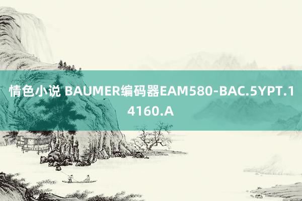 情色小说 BAUMER编码器EAM580-BAC.5YPT.14160.A