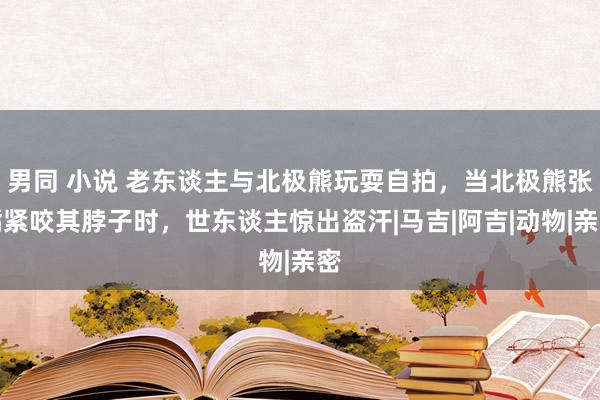 男同 小说 老东谈主与北极熊玩耍自拍，当北极熊张嘴紧咬其脖子时，世东谈主惊出盗汗|马吉|阿吉|动物|亲密